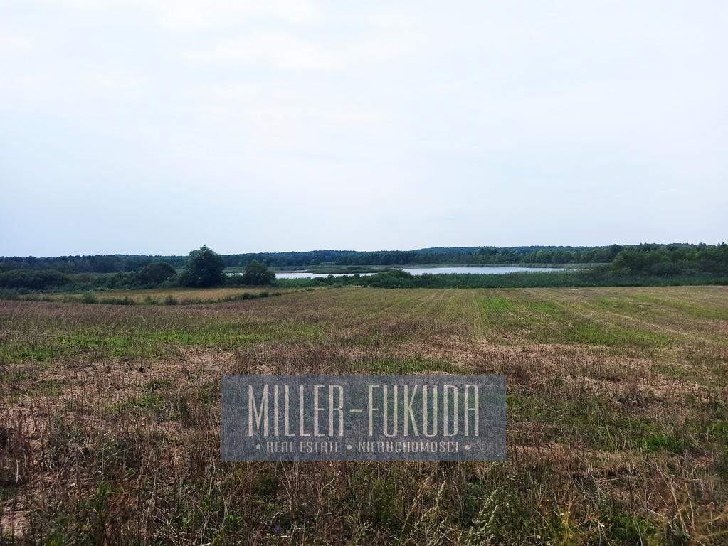 Land for sale - Zbiczno (Real Estate MIF21416)