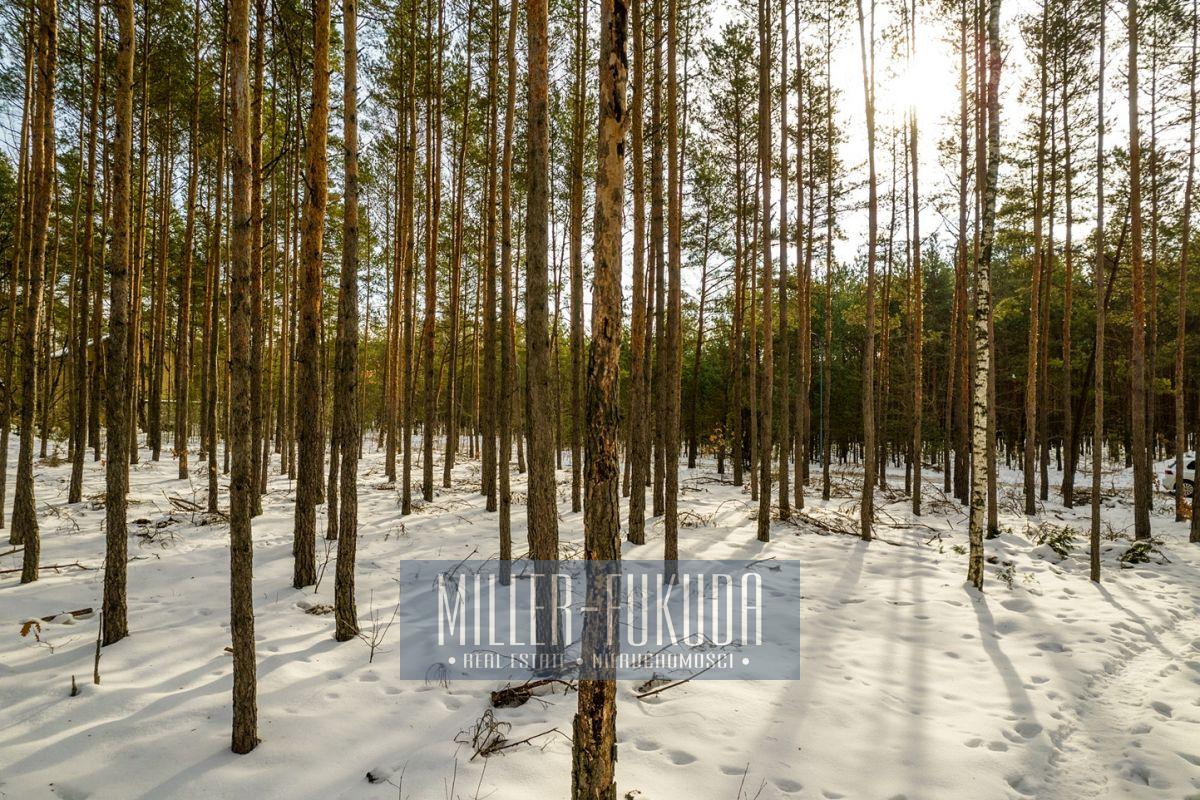 Land in Warszawa - Photo 2