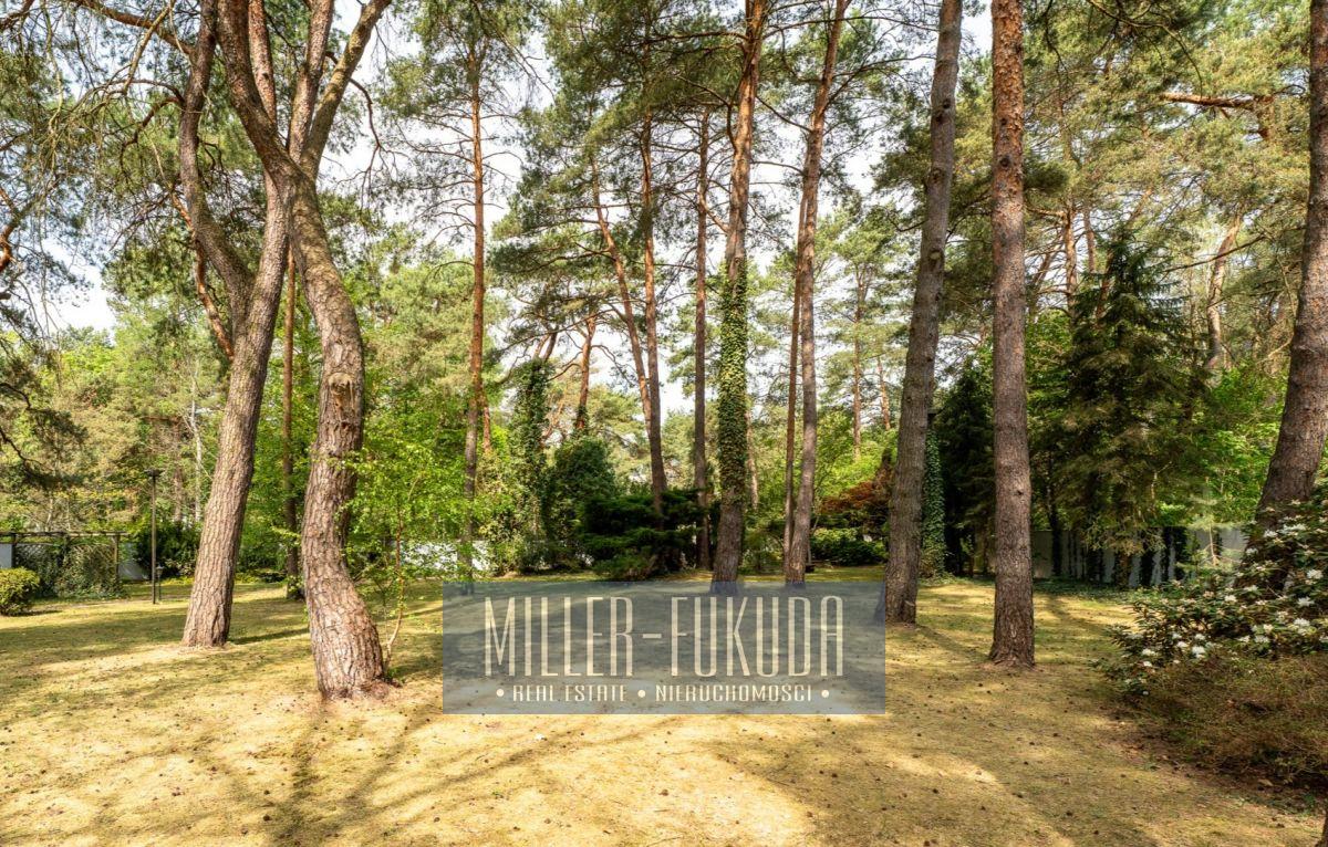 Land in Warszawa - Main photo