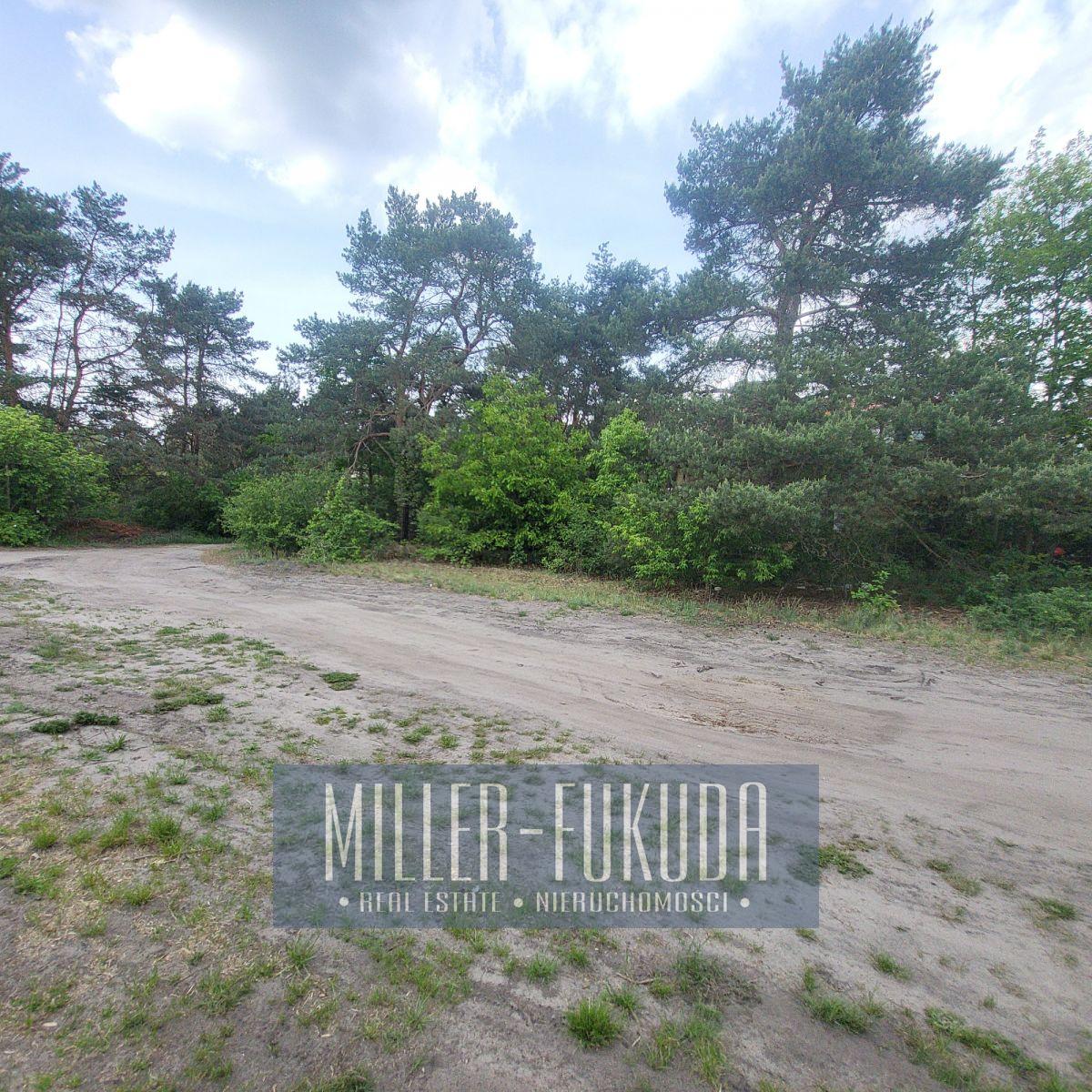 Land in Warszawa - Photo 6
