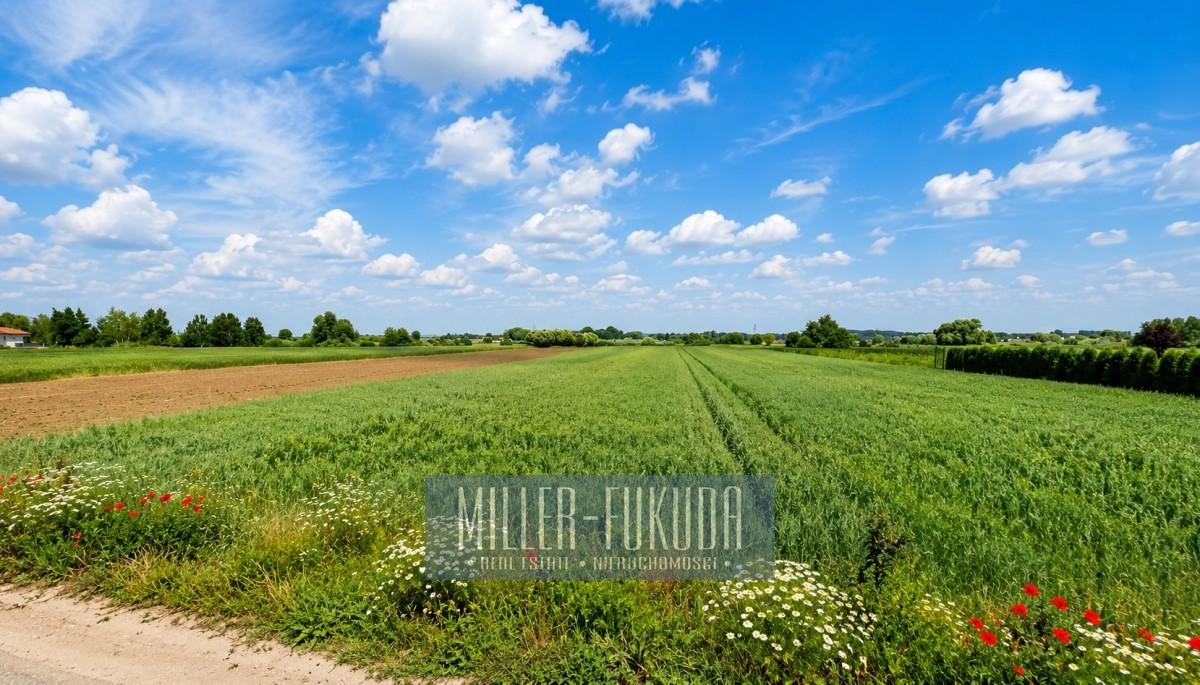 Land in Warszawa - Photo 1