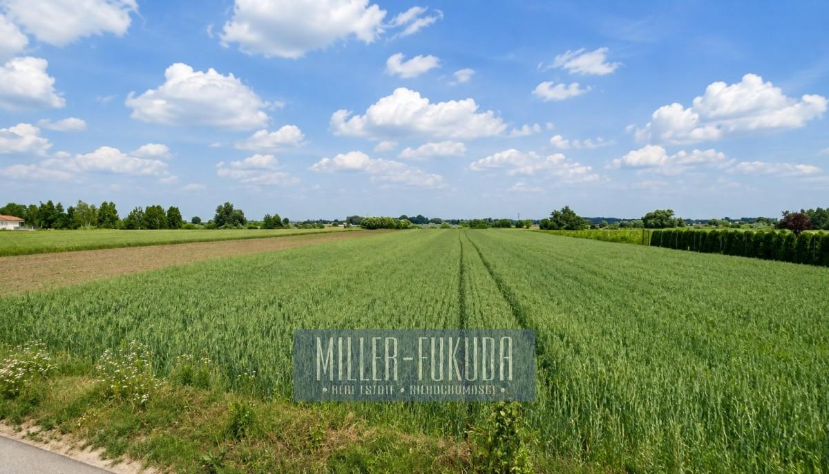 Land in Warszawa - Photo 3